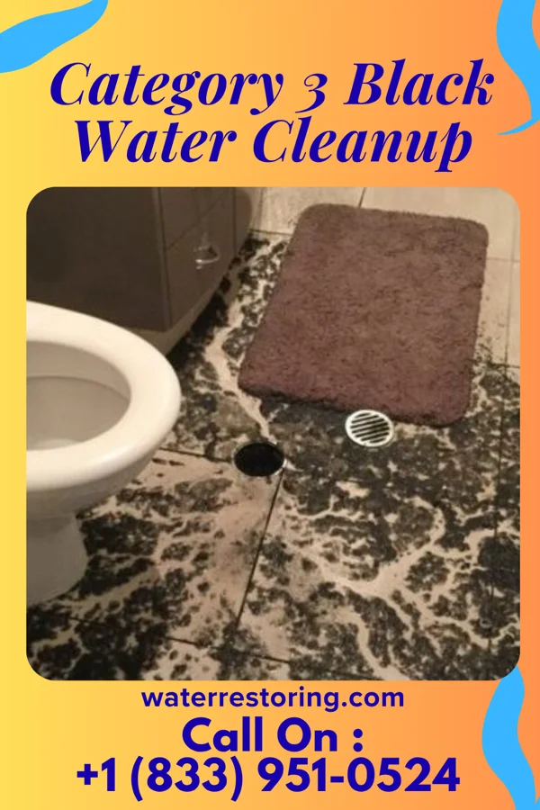 Category 3 Black Water Cleanup in Pittsburg, OK