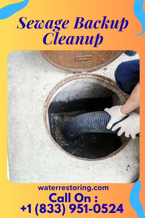 Sewage Backup Cleanup in Pittsburg, OK